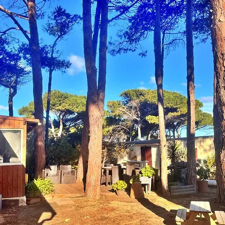 T3 Les Pieds Dans L'eau * 卡尔维