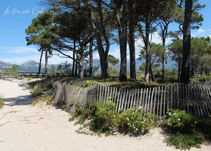 T3 Les Pieds Dans L'eau *