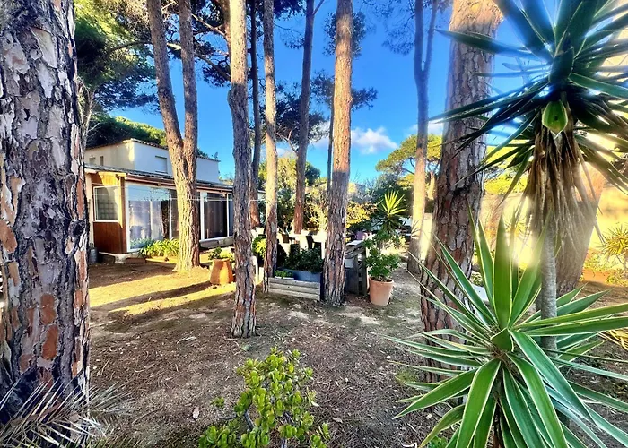 T3 Les Pieds Dans L'eau * 卡尔维