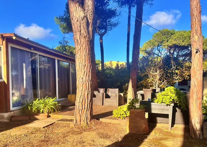 公寓 T3 Les Pieds Dans L'eau