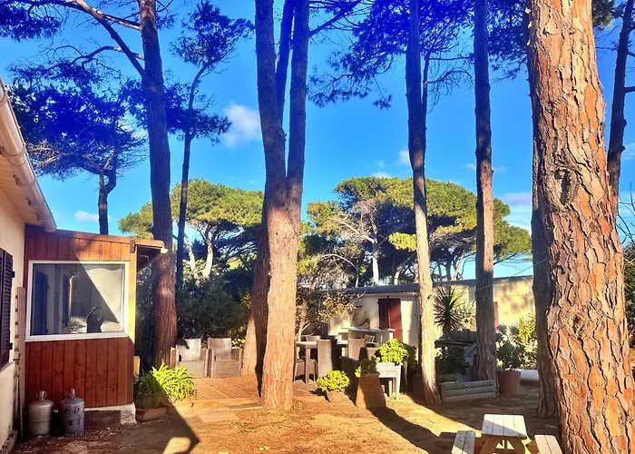 T3 Les Pieds Dans L'eau * 卡尔维