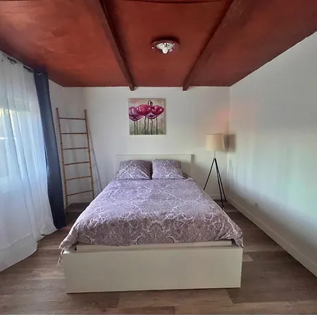 Apartman T3 Les Pieds Dans L'eau Calvi