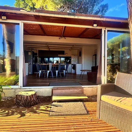 T3 Les Pieds Dans L'eau Calvi (Corsica)