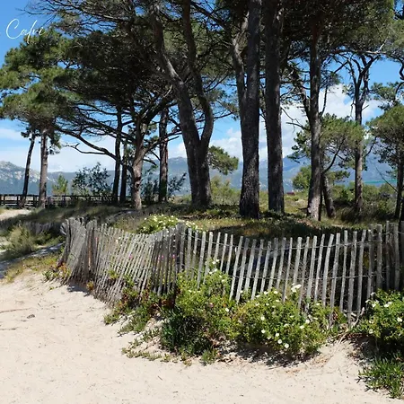 T3 Les Pieds Dans L'eau *