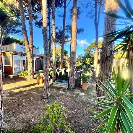 T3 Les Pieds Dans L'eau * Calvi