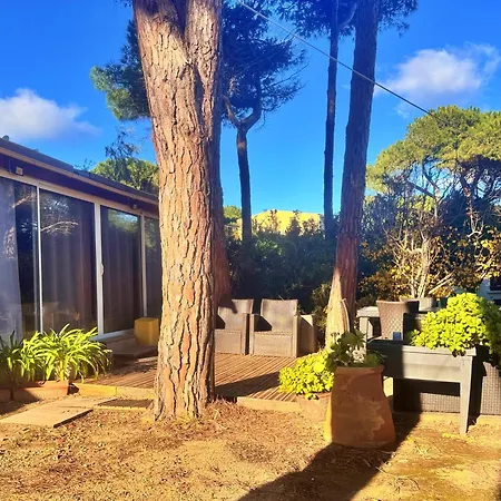 Apartman T3 Les Pieds Dans L'eau