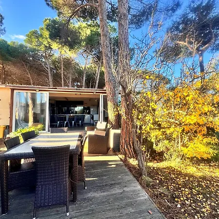 T3 Les Pieds Dans L'eau *