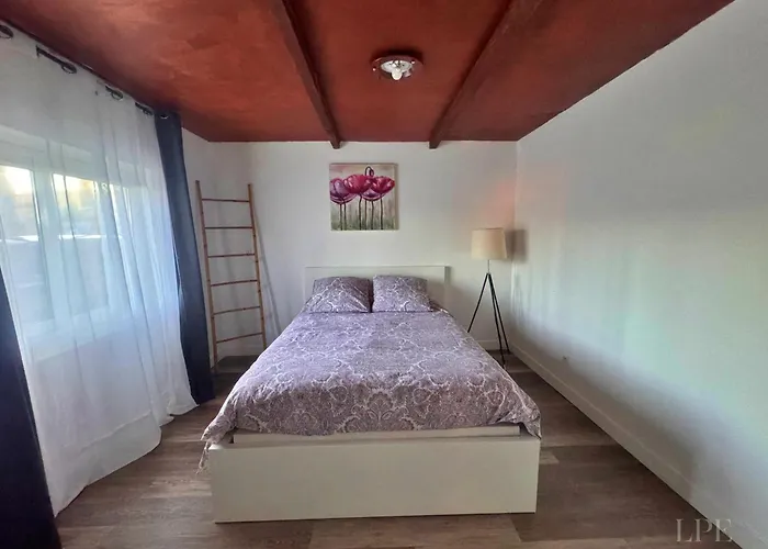 Apartment T3 Les Pieds Dans L'eau Calvi (Corsica)